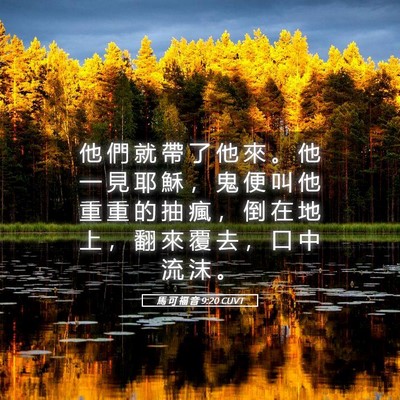Picture 05 - 馬 可 福 音 9:20 CUVT - 他 們 就 帶 了 他 來 。 他 一 見 耶 - Bible Verse Picture