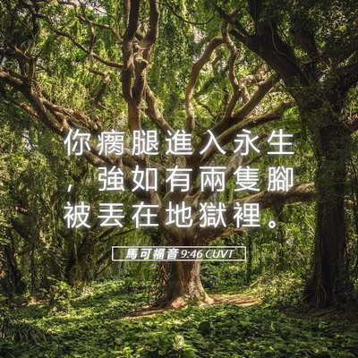 Picture 05 - 馬 可 福 音 9:46 CUVT - 你 瘸 腿 進 入 永 生 ， 強 如 有 兩 - Bible Verse Picture