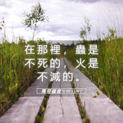 Picture 05 - 馬 可 福 音 9:48 CUVT - 在 那 裡 ， 蟲 是 不 死 的 ， 火 是 - Bible Verse Picture