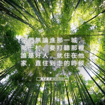 Picture 05 - 馬 太 福 音 10:11 CUVT - 你 們 無 論 進 那 一 城 ， 那 一 村 - Bible Verse Picture