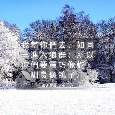 Picture 05 - 馬 太 福 音 10:16 CUVT - 我 差 你 們 去 ， 如 同 羊 進 入 狼 - Bible Verse Picture
