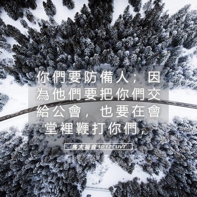Picture 05 - 馬 太 福 音 10:17 CUVT - 你 們 要 防 備 人 ； 因 為 他 們 要 - Bible Verse Picture