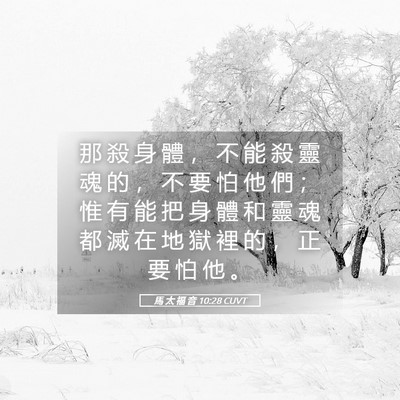 Picture 05 - 馬 太 福 音 10:28 CUVT - 那 殺 身 體 ， 不 能 殺 靈 魂 的 ， - Bible Verse Picture