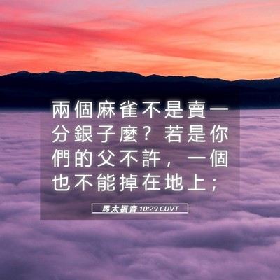Picture 05 - 馬 太 福 音 10:29 CUVT - 兩 個 麻 雀 不 是 賣 一 分 銀 子 麼 - Bible Verse Picture