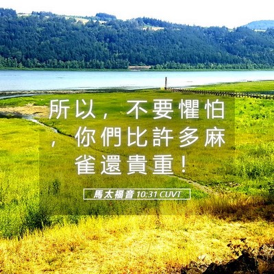 Picture 05 - 馬 太 福 音 10:31 CUVT - 所 以 ， 不 要 懼 怕 ， 你 們 比 許 - Bible Verse Picture
