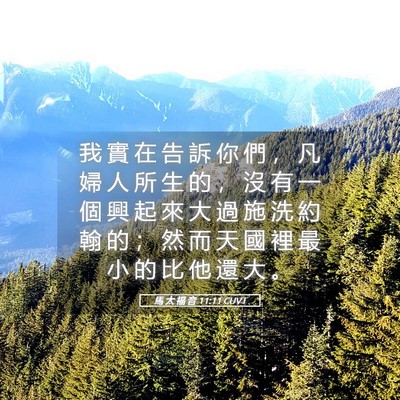 Picture 05 - 馬 太 福 音 11:11 CUVT - 我 實 在 告 訴 你 們 ， 凡 婦 人 所 - Bible Verse Picture