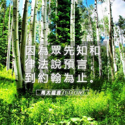 Picture 05 - 馬 太 福 音 11:13 CUVT - 因 為 眾 先 知 和 律 法 說 預 言 ， - Bible Verse Picture