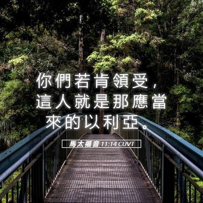 Picture 05 - 馬 太 福 音 11:14 CUVT - 你 們 若 肯 領 受 ， 這 人 就 是 那 - Bible Verse Picture