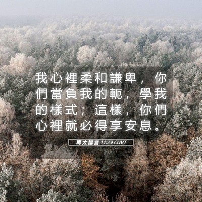 Picture 05 - 馬 太 福 音 11:29 CUVT - 我 心 裡 柔 和 謙 卑 ， 你 們 當 負 - Bible Verse Picture