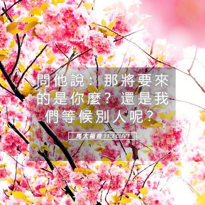 Picture 05 - 馬 太 福 音 11:3 CUVT - 問 他 說 ： 那 將 要 來 的 是 你 麼 - Bible Verse Picture