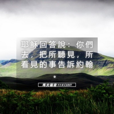 Picture 05 - 馬 太 福 音 11:4 CUVT - 耶 穌 回 答 說 ： 你 們 去 ， 把 所 - Bible Verse Picture