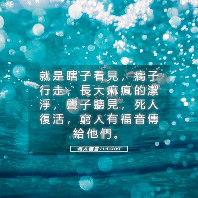 Picture 05 - 馬 太 福 音 11:5 CUVT - 就 是 瞎 子 看 見 ， 瘸 子 行 走 ， - Bible Verse Picture