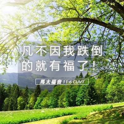 Picture 05 - 馬 太 福 音 11:6 CUVT - 凡 不 因 我 跌 倒 的 就 有 福 了 - Bible Verse Picture