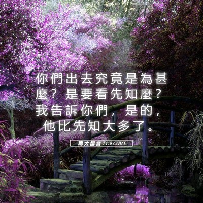 Picture 05 - 馬 太 福 音 11:9 CUVT - 你 們 出 去 究 竟 是 為 甚 麼 ？ 是 - Bible Verse Picture