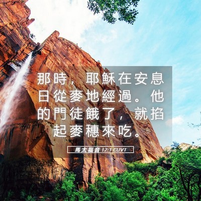 Picture 05 - 馬 太 福 音 12:1 CUVT - 那 時 ， 耶 穌 在 安 息 日 從 麥 地 - Bible Verse Picture