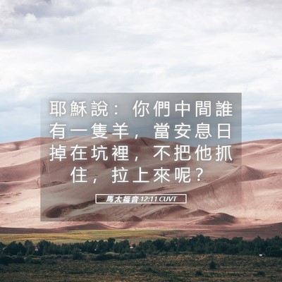 Picture 05 - 馬 太 福 音 12:11 CUVT - 耶 穌 說 ： 你 們 中 間 誰 有 一 隻 - Bible Verse Picture