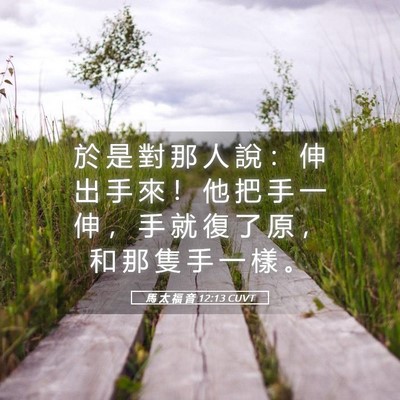 Picture 05 - 馬 太 福 音 12:13 CUVT - 於 是 對 那 人 說 ： 伸 出 手 來 ！ - Bible Verse Picture