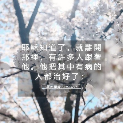 Picture 05 - 馬 太 福 音 12:15 CUVT - 耶 穌 知 道 了 ， 就 離 開 那 裡 ， - Bible Verse Picture