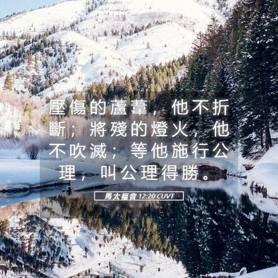 Picture 05 - 馬 太 福 音 12:20 CUVT - 壓 傷 的 蘆 葦 ， 他 不 折 斷 ； 將 - Bible Verse Picture