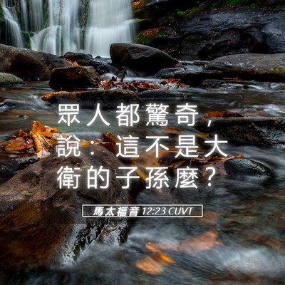 Picture 05 - 馬 太 福 音 12:23 CUVT - 眾 人 都 驚 奇 ， 說 ： 這 不 是 大 - Bible Verse Picture