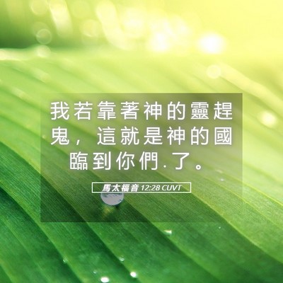 Picture 05 - 馬 太 福 音 12:28 CUVT - 我 若 靠 著 神 的 靈 趕 鬼 ， 這 就 - Bible Verse Picture