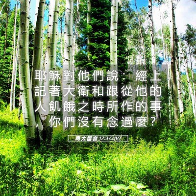 Picture 05 - 馬 太 福 音 12:3 CUVT - 耶 穌 對 他 們 說 ： 經 上 記 著 大 - Bible Verse Picture