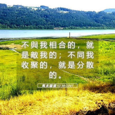 Picture 05 - 馬 太 福 音 12:30 CUVT - 不 與 我 相 合 的 ， 就 是 敵 我 的 - Bible Verse Picture
