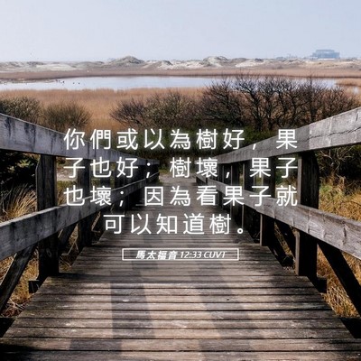 Picture 05 - 馬 太 福 音 12:33 CUVT - 你 們 或 以 為 樹 好 ， 果 子 也 好 - Bible Verse Picture