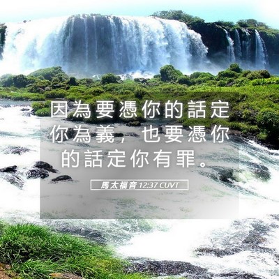Picture 05 - 馬 太 福 音 12:37 CUVT - 因 為 要 憑 你 的 話 定 你 為 義 ， - Bible Verse Picture