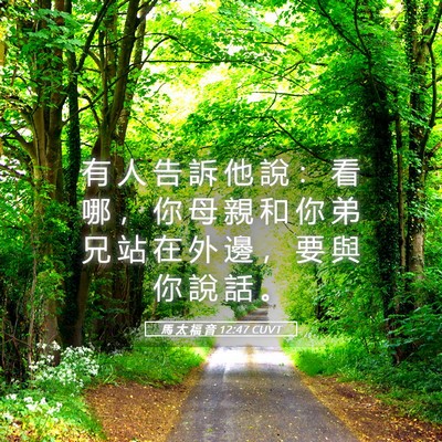 Picture 05 - 馬 太 福 音 12:47 CUVT - 有 人 告 訴 他 說 ： 看 哪 ， 你 母 - Bible Verse Picture