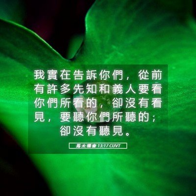 Picture 05 - 馬 太 福 音 13:17 CUVT - 我 實 在 告 訴 你 們 ， 從 前 有 許 - Bible Verse Picture