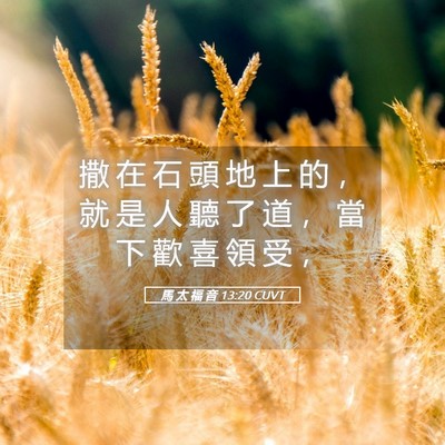 Picture 05 - 馬 太 福 音 13:20 CUVT - 撒 在 石 頭 地 上 的 ， 就 是 人 聽 - Bible Verse Picture