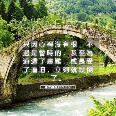 Picture 05 - 馬 太 福 音 13:21 CUVT - 只 因 心 裡 沒 有 根 ， 不 過 是 暫 - Bible Verse Picture