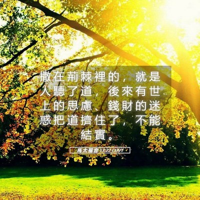 Picture 05 - 馬 太 福 音 13:22 CUVT - 撒 在 荊 棘 裡 的 ， 就 是 人 聽 了 - Bible Verse Picture