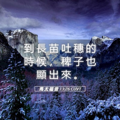 Picture 05 - 馬 太 福 音 13:26 CUVT - 到 長 苗 吐 穗 的 時 候 ， 稗 子 也 - Bible Verse Picture