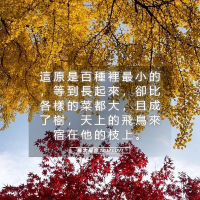 Picture 05 - 馬 太 福 音 13:32 CUVT - 這 原 是 百 種 裡 最 小 的 ， 等 到 - Bible Verse Picture