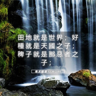 Picture 05 - 馬 太 福 音 13:38 CUVT - 田 地 就 是 世 界 ； 好 種 就 是 天 - Bible Verse Picture