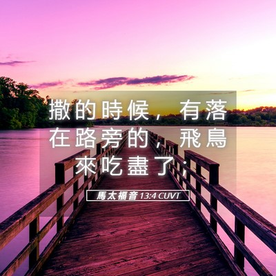 Picture 05 - 馬 太 福 音 13:4 CUVT - 撒 的 時 候 ， 有 落 在 路 旁 的 ， - Bible Verse Picture