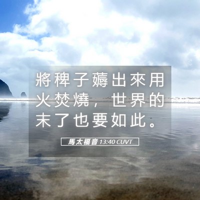 Picture 05 - 馬 太 福 音 13:40 CUVT - 將 稗 子 薅 出 來 用 火 焚 燒 ， 世 - Bible Verse Picture