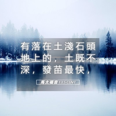Picture 05 - 馬 太 福 音 13:5 CUVT - 有 落 在 土 淺 石 頭 地 上 的 ， 土 - Bible Verse Picture