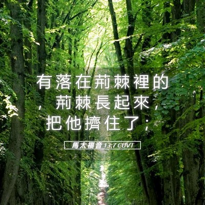 Picture 05 - 馬 太 福 音 13:7 CUVT - 有 落 在 荊 棘 裡 的 ， 荊 棘 長 起 - Bible Verse Picture