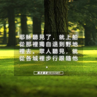 Picture 05 - 馬 太 福 音 14:13 CUVT - 耶 穌 聽 見 了 ， 就 上 船 從 那 裡 - Bible Verse Picture