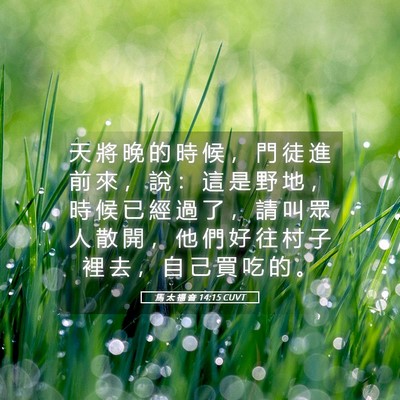Picture 05 - 馬 太 福 音 14:15 CUVT - 天 將 晚 的 時 候 ， 門 徒 進 前 來 - Bible Verse Picture