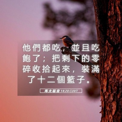 Picture 05 - 馬 太 福 音 14:20 CUVT - 他 們 都 吃 ， 並 且 吃 飽 了 ； 把 - Bible Verse Picture