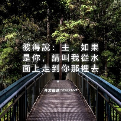 Picture 05 - 馬 太 福 音 14:28 CUVT - 彼 得 說 ： 主 ， 如 果 是 你 ， 請 - Bible Verse Picture