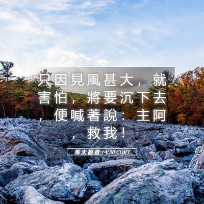 Picture 05 - 馬 太 福 音 14:30 CUVT - 只 因 見 風 甚 大 ， 就 害 怕 ， 將 - Bible Verse Picture
