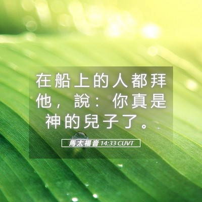 Picture 05 - 馬 太 福 音 14:33 CUVT - 在 船 上 的 人 都 拜 他 ， 說 ： 你 - Bible Verse Picture