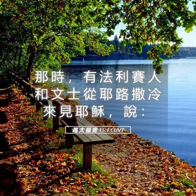 Picture 05 - 馬 太 福 音 15:1 CUVT - 那 時 ， 有 法 利 賽 人 和 文 士 從 - Bible Verse Picture