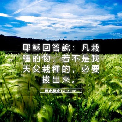 Picture 05 - 馬 太 福 音 15:13 CUVT - 耶 穌 回 答 說 ： 凡 栽 種 的 物 ， - Bible Verse Picture