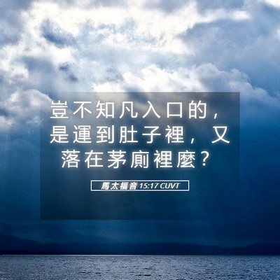 Picture 05 - 馬 太 福 音 15:17 CUVT - 豈 不 知 凡 入 口 的 ， 是 運 到 肚 - Bible Verse Picture